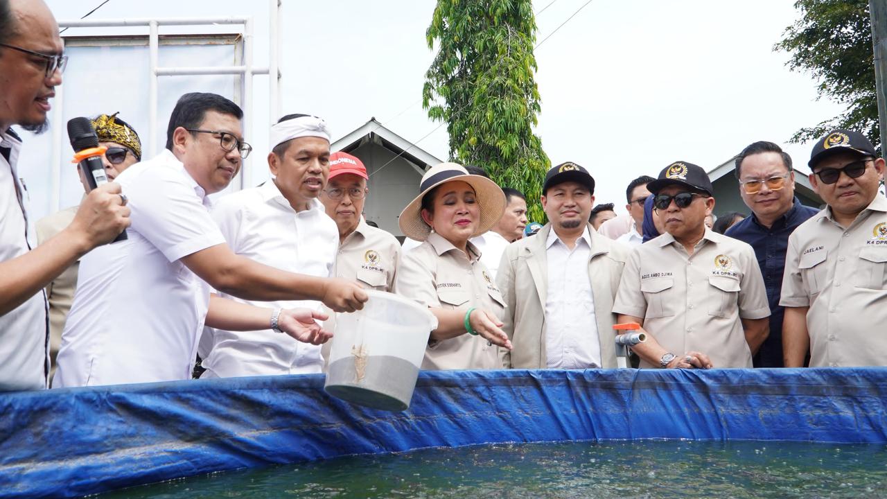 Ditemani KDM dan Kepala NFA, Titiek Soeharto Tengok Pusat Benih Padi Peninggalan Sang Ayah