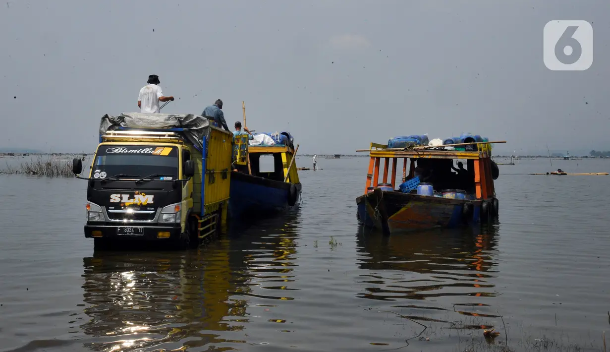 Petani melakukan bongkar muat hasil panen ikan bawal air tawar yang akan dibawa ke Pasar Ikan Muara Angke Jakarta dari Waduk Cirata di kawasan Desa Gudang, Cikalong Kulon, Cianjur, Jawa Barat, Senin (29/8/2022). Sejumlah petani ikan air tawar di kawasan Waduk Cirata sudah lebih dari dua bulan menjerit karena kenaikan harga pakan ikan dari Rp 8.500/kg menjadi Rp 10.500/kg sementara harga ikan bawal konstan Rp 14.500/kg di tingkat petani. (merdeka.com/Arie Basuki)