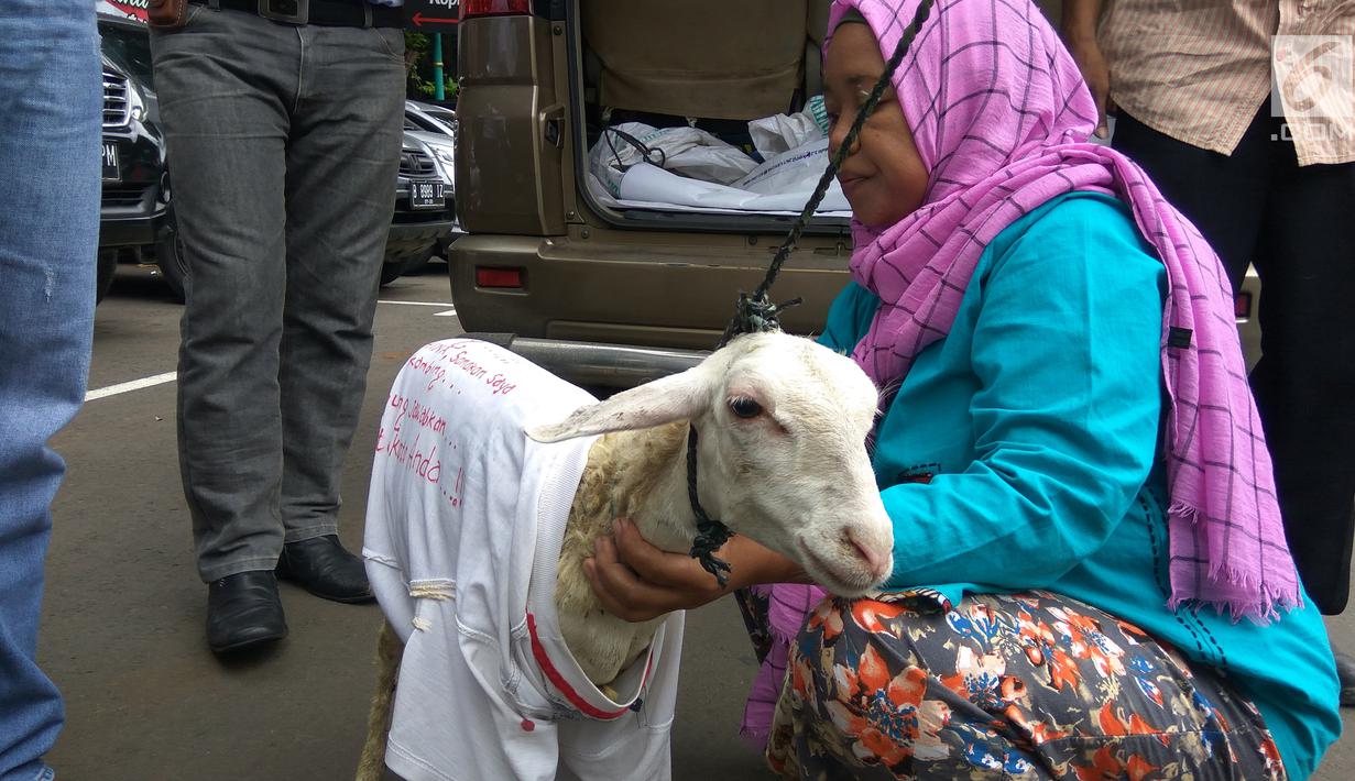 Seekor kambing yang dibawa pengacara Razman Arif Nasution dan kliennya, Putri Stagi ke Polda Metro Jaya, Rabu (29/11). Kambing itu luapan kekesalan Putri terhadap pengacara Ferry Juan yang menyamakannya dengan hewan tersebut. (Liputan6.com/Nafiysul Qodar)
