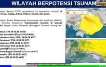 Potensi Tsunami, Warga 10 Daerah Ini Diingatkan BMKG Jauhi Pantai 1 Jam Sebelum hingga 2 Jam Setelah Estimasi
