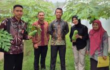 Tahukah Anda? Ditjenpas Sulteng Dorong WBP Optimalkan Ketahanan Pangan Rutan Donggala untuk Kemandirian Ekonomi