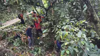 Tak Kunjung Pulang dari Kebun, Wanita Lansia di Palopo Dilaporkan Hilang