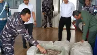 780 Kg Sisik Trenggiling Diselundupkan dari Vietnam, Diduga untuk Bahan Campuran Narkoba