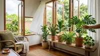13 Tanaman Dalam Rumah yang Membuat Ruangan Terasa Lebih Segar, Cantik, dan Nyaman