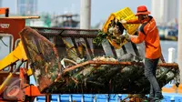 Petugas kebersihan UPK Pesisir dan Pantai membersihkan sampah di Dermaga Kali Adem, Jakarta, Kamis (14/4/2016). Kurangnya pemahaman warga tentang kebersihan lingkungan membuat Dermaga Kali Adem kerap dipenuhi sampah. (Liputan6.com/Yoppy Renato)