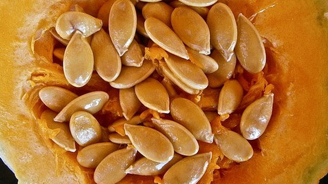 10 Manfaat Biji Labu Kuning untuk Kesehatan, Mengontrol Diabetes hingga Mengobati Kanker
