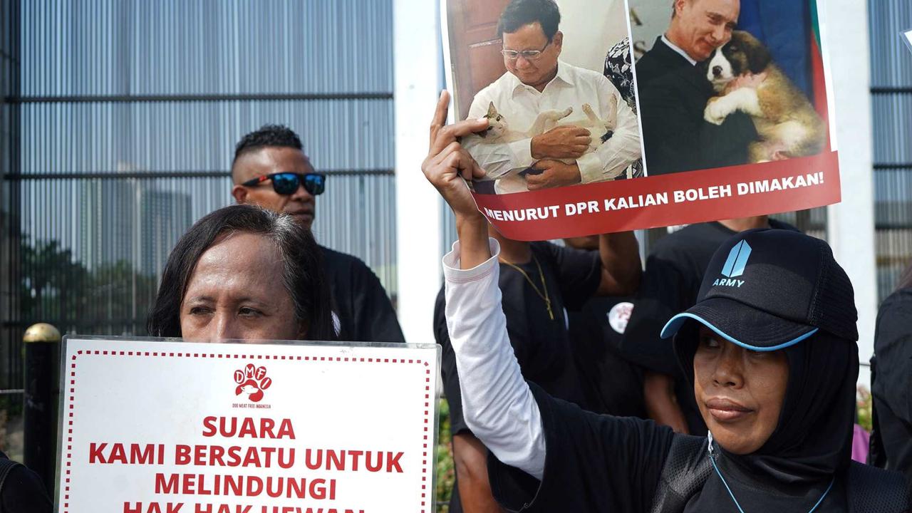 Aktivis Hewan Luapkan Kekecewaan RUU Perlindungan Anjing-Kucing Gagal Masuk RUU Prolegnas