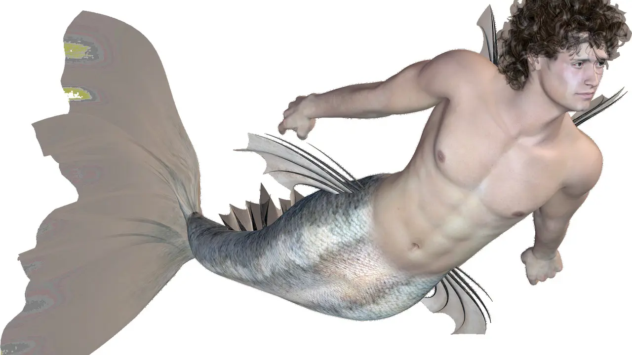 Duyung