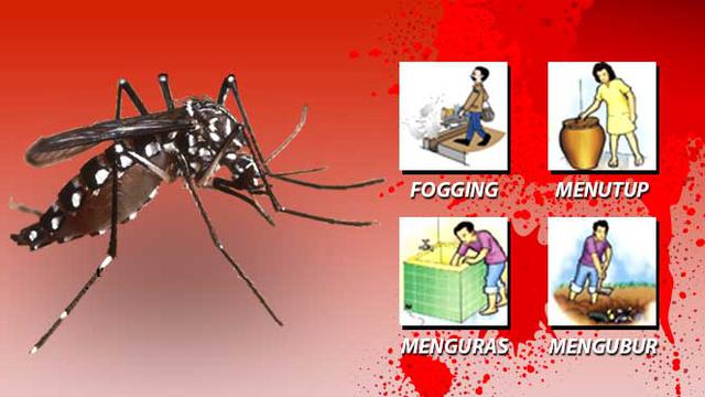 [INFOGRAFIS] Waspada DBD Mengintai