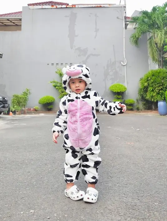 Makin tumbuh besar, Gala terlihat tambah ganteng dan lucu banget apalagi saat pakai kostum sapi ini.(instagram.com @fuji_an)