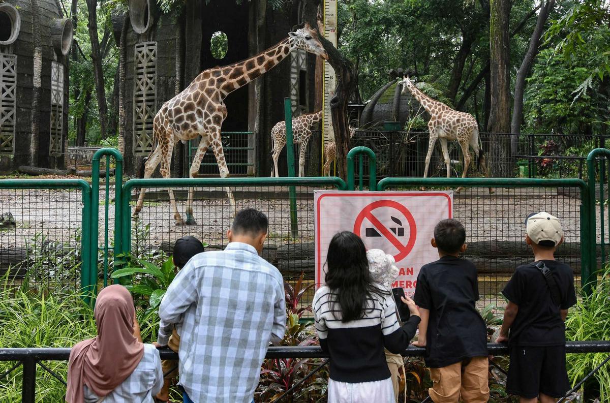 Ragunan Dibanjiri Puluhan Ribu Pengunjung di Hari Kedua Lebaran