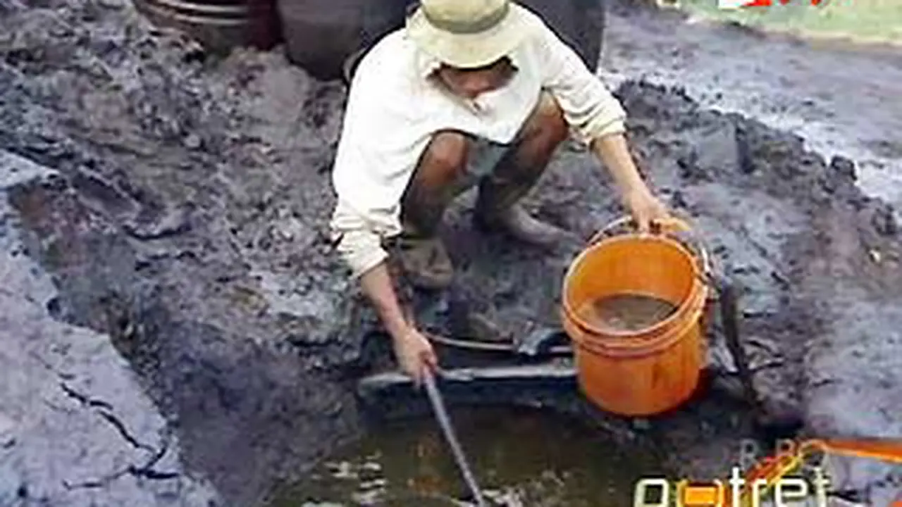 120429potret.jpg