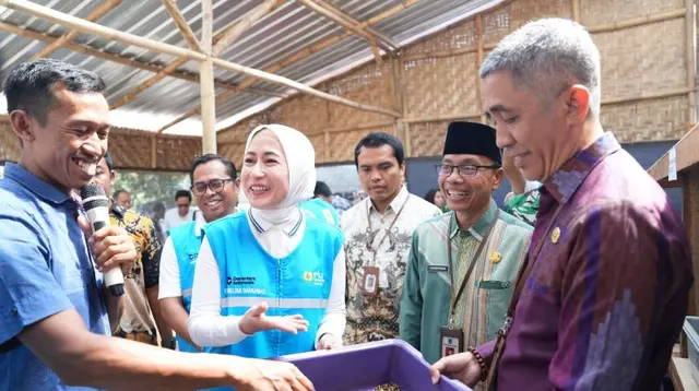 Budi Daya Maggot di Mataram, Solusi Masalah Sampah Jadi Bernilai