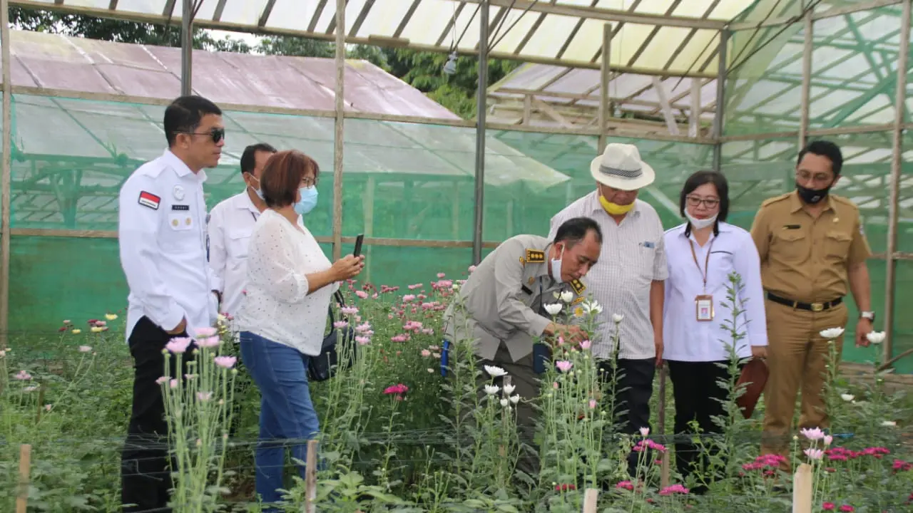 Kolaborasi bersama Dinas Pertanian dan Perikanan Kota Tomohon, Karantina Pertanian Manado akan mendampingi para petani krisan asal Sulut.