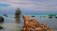 Pantai Tereloto dengan kadar garamnya yang tinggi dan dikenal sebagai laut matinya Indonesia. (dok. Instagram @genpinias/ https://www.instagram.com/p/BvZIRyfA0qY/?igshid=1v0bm8ggzbimv/ Dinda Rizky)