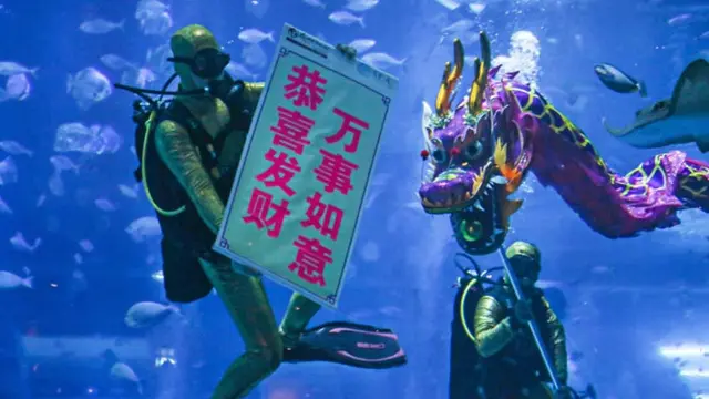 S.E.A Aquarium