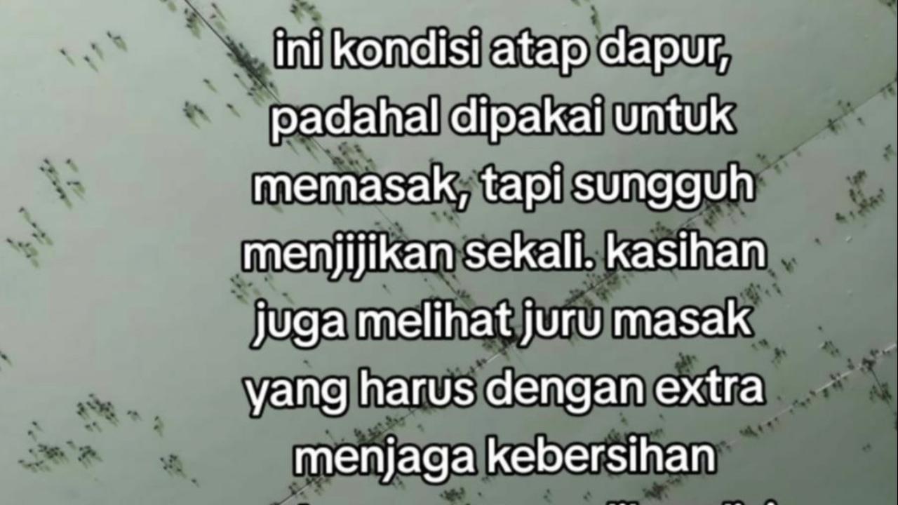 Dapur Dipenuhi Lalat