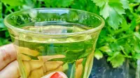 Resep Daun Ajaib Penurun Gula Darah, Rahasia Kesehatan Alami yang Mudah Dicoba