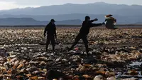 Petugas polisi membuang sampah dari Sungai Tagaret, yang mengalir ke Danau Uru Uru, dekat Oruro, Bolivia, Rabu (7/4/2021). Operasi pembersihan dimulai hari Rabu dalam upaya mengembalikan danau ke keindahan alamnya yang telah dibanjiri sampah plastik dan limbah buatan manusia lainnya. (AP/Juan Kari)