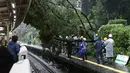 Sebuah stasiun kereta api tertimpa pohon tumbang akibat topan mindulle di Tokyo, Senin (22/8). Ratusan penerbangan serta perjalanan kereta api dibatalkan akibat terjangan Topan Mindulle di Ibu Kota Jepang. (Jiji Press/AFP)