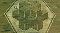 Crop circle di ladang gandum yang berlokasi di Clay Hill, Warminster, Wiltshire, Inggris (news.com.au)