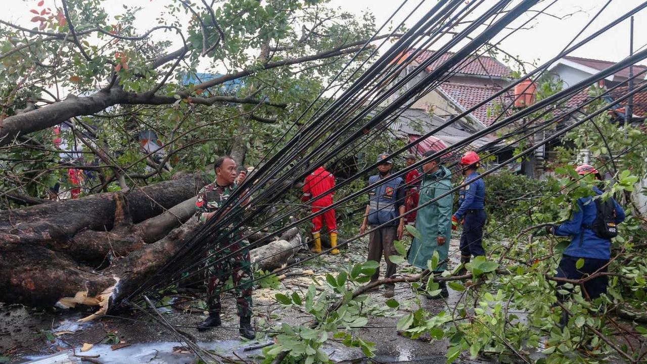 Pohon tumbang di Depok