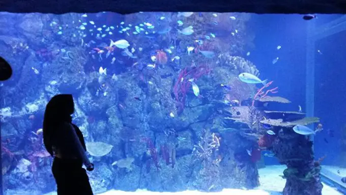 Copyright: Vemale.com/Shabrina