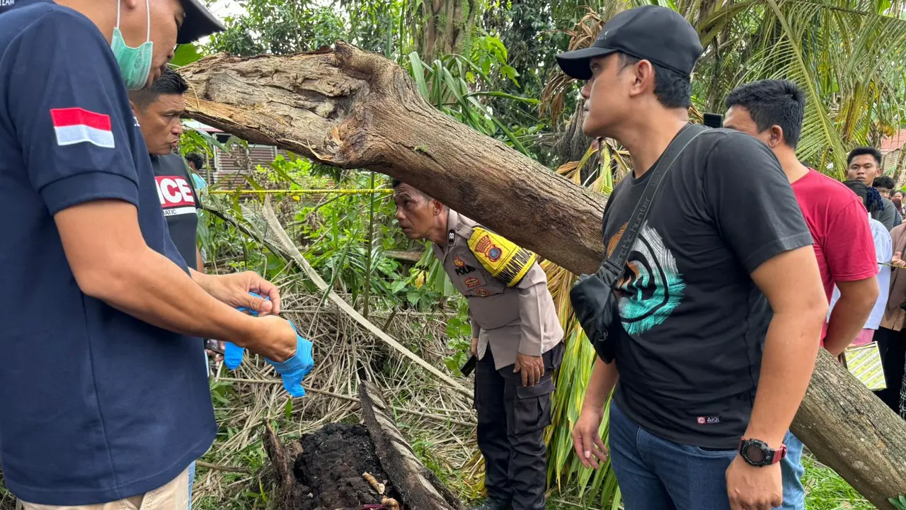 Temuan Kerangka Manusia di Desa Pematang Ganjang, Kecamatan Sei Rampah, Serdang Bedagai, Sumatera Utara, Selasa (9/9/2025).