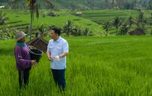 Program Makmur dan Agrosolution Terealisasi di 74.486 Hektare Lahan dan 28.315 Petani Sudah Bergabung
