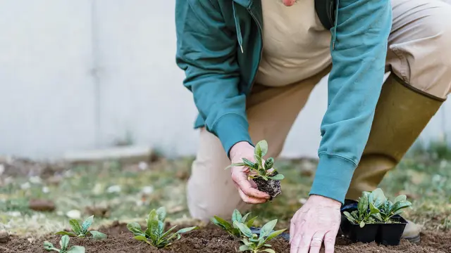 Ajak Terlibat Langsung Menanam dan Merawat Pohon