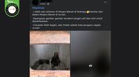 Gambar tangkapan layar&nbsp;foto yang diklaim penampakan tahanan di Saydnaya, Suriah. (sumber: Facebook)