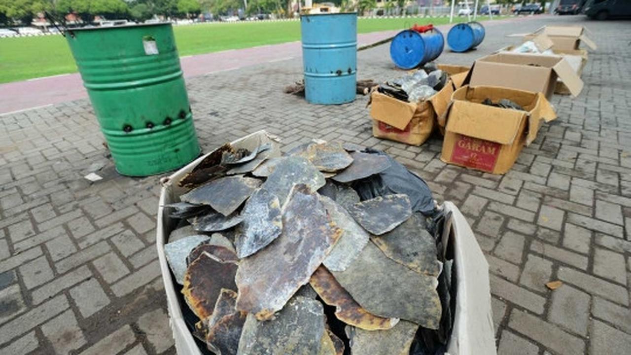 Pemusnahan barang bukti organ satwa dilindungi di Mabes Polri