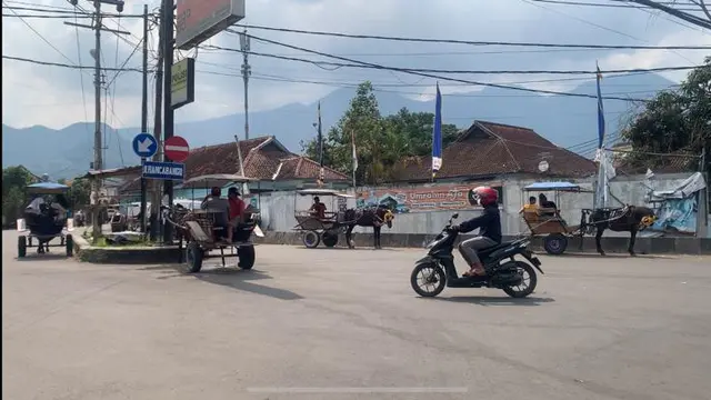 Puluhan delman yang beroperasi di jalur mudik Nasional via Garut, Jawa Barat, bakal mendapatkan kondensasi sebesar Rp 100 ribu per hari dari Pemerintah Daerah (Pemda) Garut selama mudik lebaran. (Liputan6.com/Jayadi Supriadin)