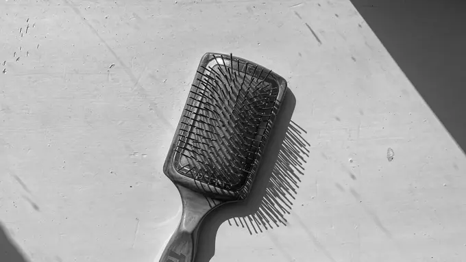 wet brush