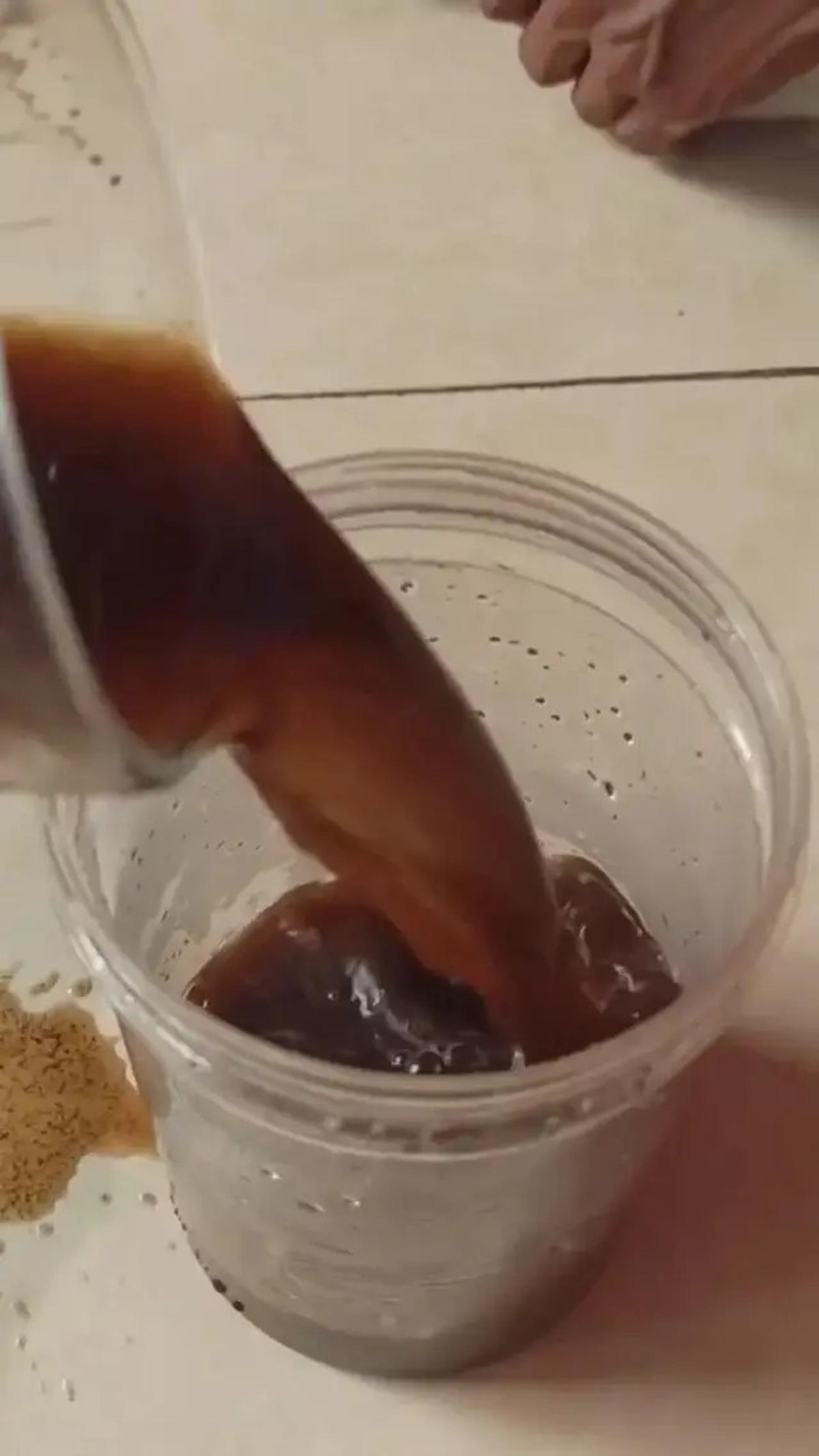Cara Alami Mengusir Cicak dari Rumah dengan Mudah, Cuma Pakai Kopi dan Gula Saja