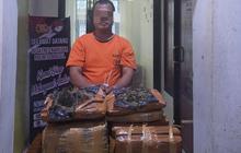 Polres Labuhanbatu Selatan Tangkap Pria Bawa 26 Kg Ganja, Pelaku Sempat Melawan