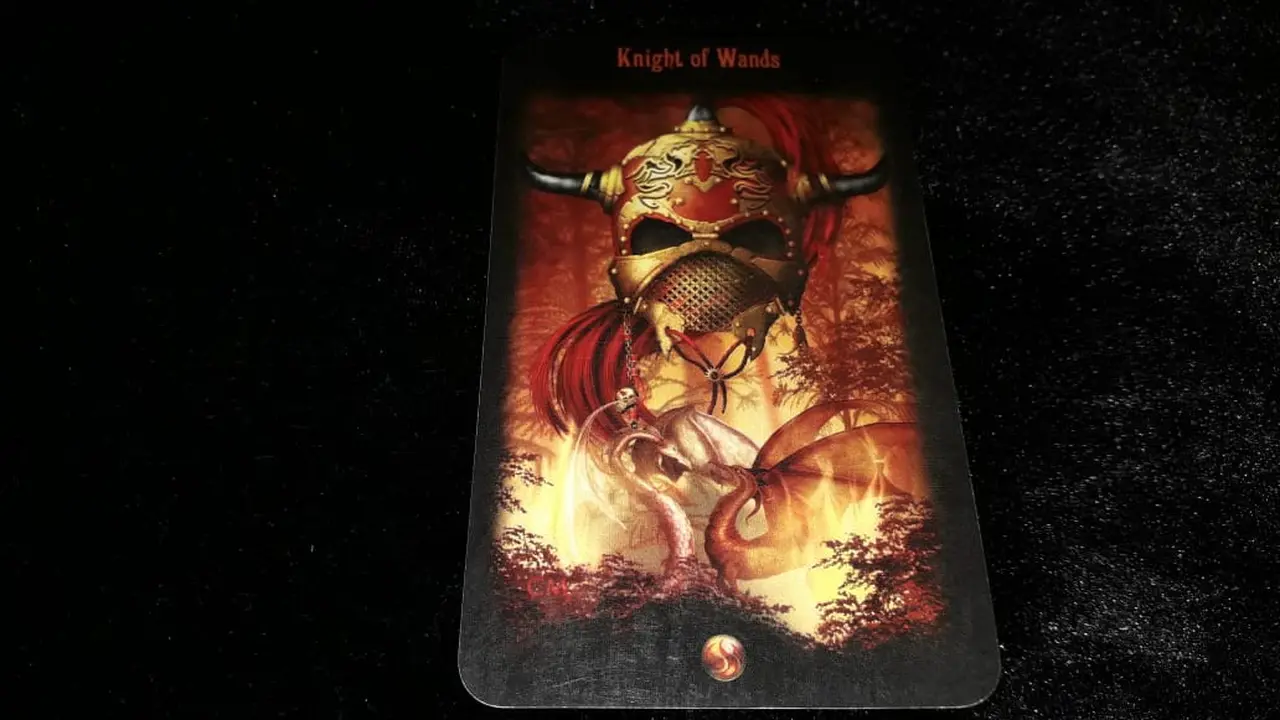 Tarot Cinta (Foto: Elisabet Kusumodewi)