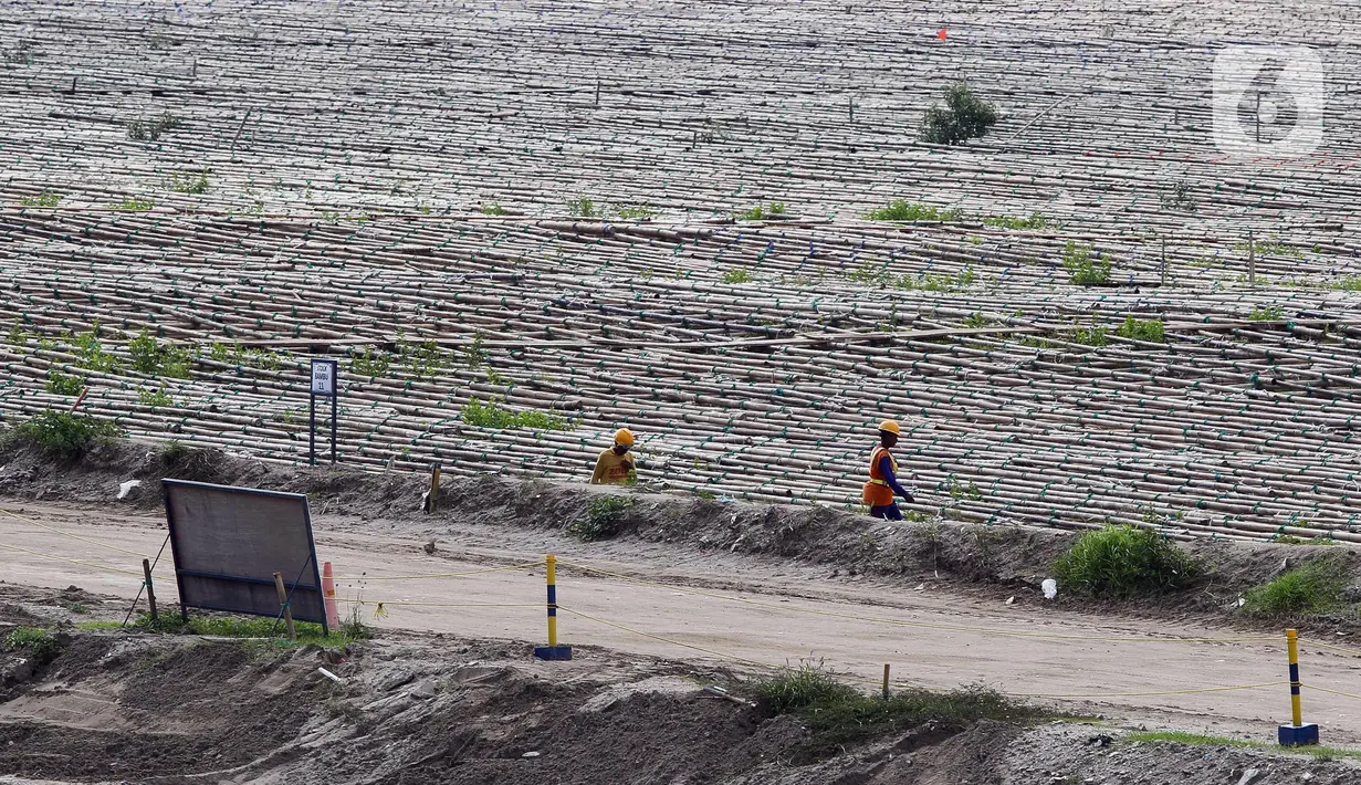 Aktivitas pekerja di tanah milik PT Pelabuhan Indonesia (Persero) atau Pelindo yang akan digunakan sebagai lokasi relokasi Depo Pertamina Plumpang terletak di NPCT 2, Koja, Jakarta Utara, Selasa (7/3/2023). Tanah seluas 23 hektare ini akan menjadi lokasi relokasi Depo Pertamina Plumpang yang direncanakan selesai Desember 2024. (Liputan6.com/Herman Zakharia)