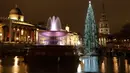 Kolam air mancur memantulkan refleksi pohon natal Norwegia setelah lampunya dinyalakan dalam upacara di Trafalgar Square, London, Kamis (6/12). Pohon cemara itu merupakan pohon natal hadiah tahunan dari kota Oslo kepada rakyat Inggris. (AP/Matt Dunham)