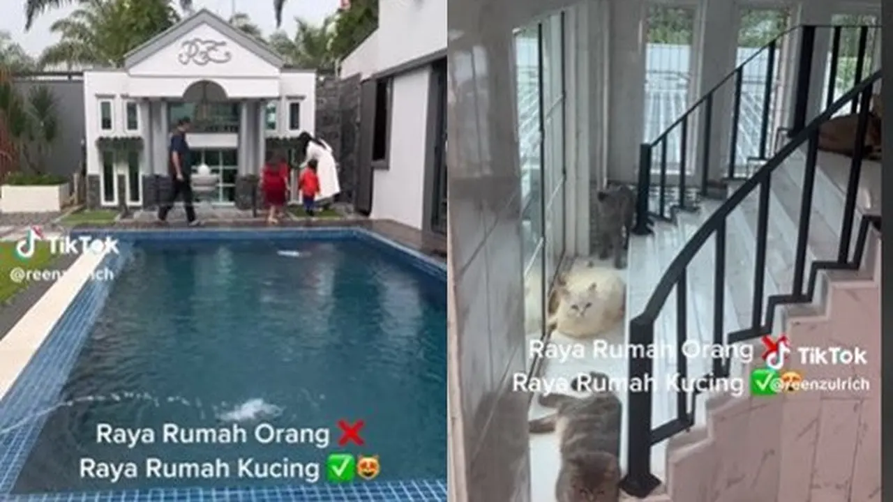 Potret Mewah Rumah Kucing yang Berdesain Klasik Modern, Bak Hunian Manusia