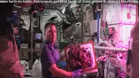 Setelah melakukan percobaan berkali-kali, akhirnya astronot berhasil menanam tanaman berbunga di luar angkasa
