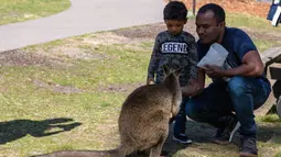 Sejumlah orang mengunjungi Taman Margasatwa Symbio di tengah pandemi COVID-19, Sydney, Australia, 5 September 2020. Beberapa kebun binatang dan taman margasatwa di Sydney sudah kembali dibuka untuk umum. (Xinhua/Zhu Hongye)