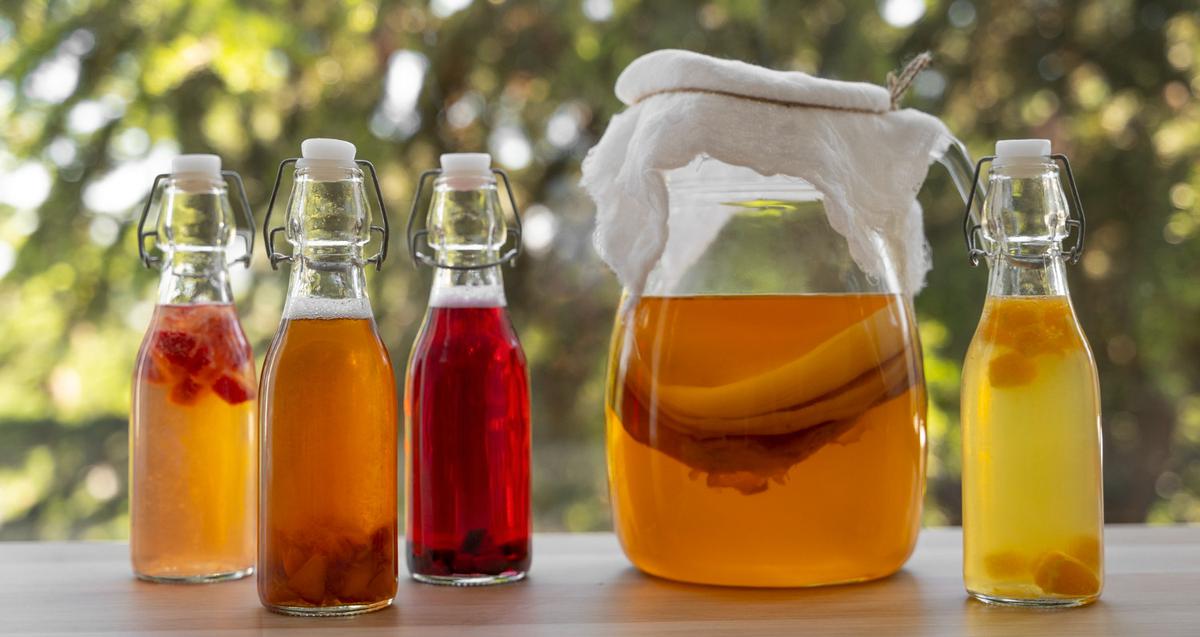 Ilustrasi Kombucha