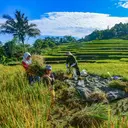 DPR Minta Pemerintah Geser Tolok Ukur Keberhasilan Ekonomi