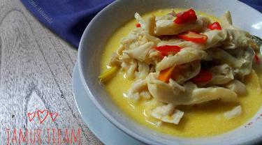 Resep Sederhana Olahan Jamur Tiram Yang Sehat Lifestyle Fimela Com
