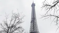 Suasana Menara Eiffel yang diselimuti salju di Paris, Prancis (7/2). Hujan salju yang sangat lebat membuat transportasi umum di paruh utara Prancis dan di Paris tidak dapat beroperasi. (AFP Photo / Thomas Samson)
