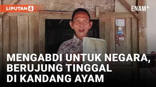 VIDEO: Sarno, Veteran Pejuang yang Kini Tinggal di Kandang Ayam