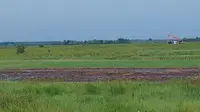 Kementan Tegaskan Cetak Sawah Rakyat di Kalteng Jadi Solusi Atasi Masifnya Alih Fungsi Lahan