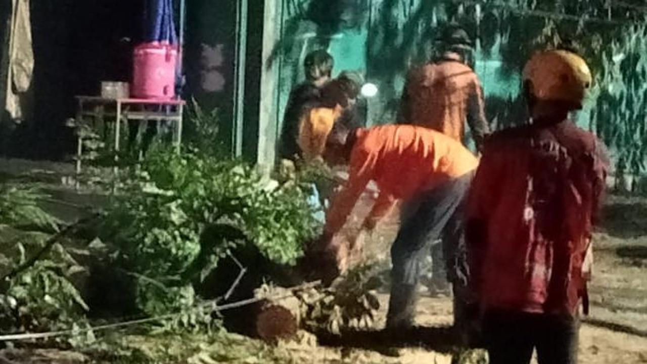Hujan Deras dan Angin Kencang Terjang Solo, Pohon Tumbang Timpa 4 Rumah dan Gedung PAUD