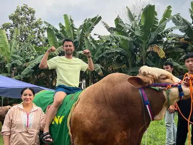 Raffi Ahmad dan Nagita Slavina baru saja mengunggah potret sapi kurban mereka. Untuk Idul Adha tahun ini, mereka membeli hewan kurban dari kaki Gunung Merapi.&nbsp;(Instagram/raffinagita1717)